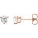 14K Rose 3/4 CTW Natural Diamond Earrings