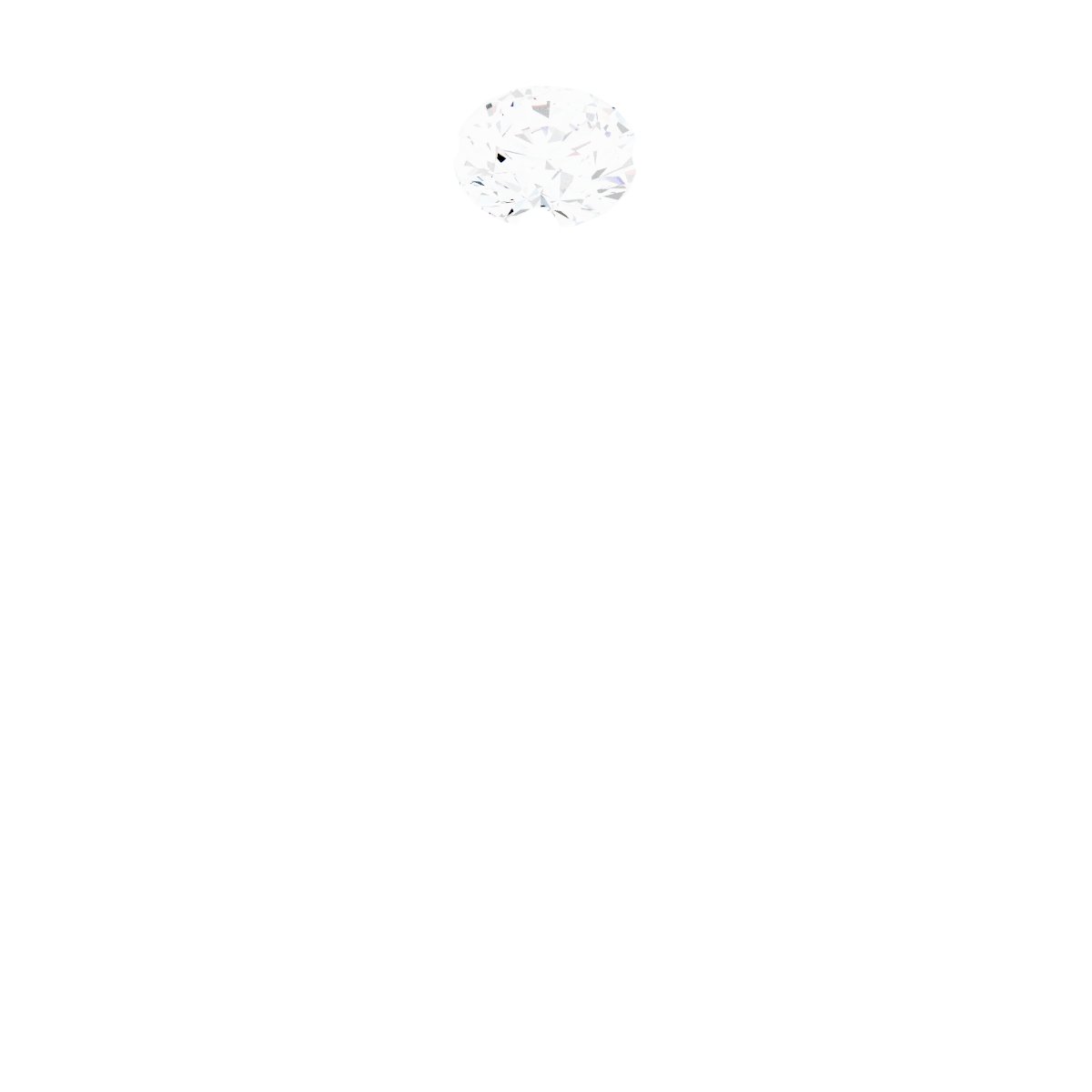 14k White Gold