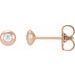 14K Rose .06 CTW Natural Diamond Domed Bezel-Set Earrings