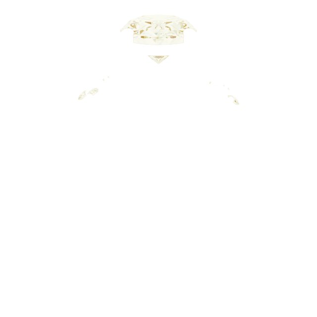 Product Variant Image