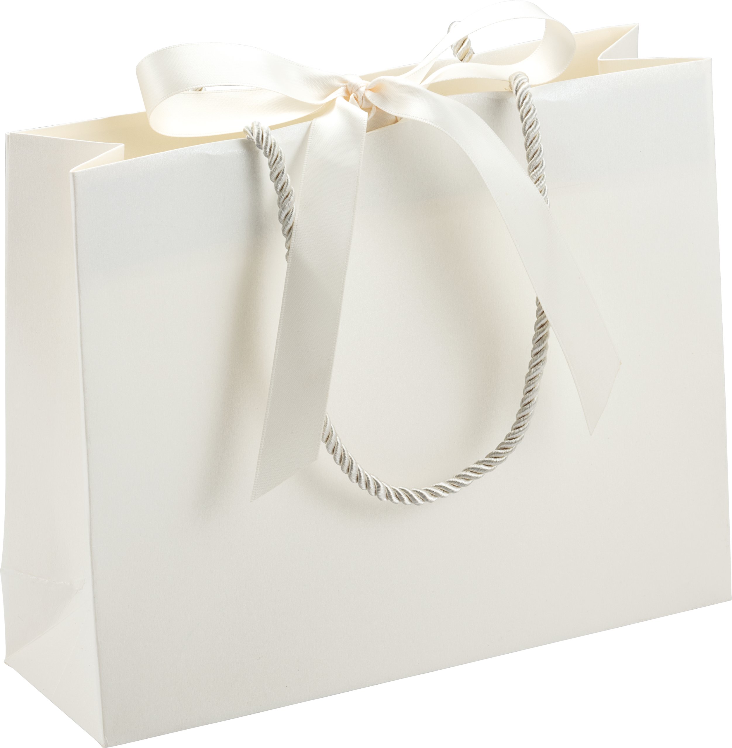 Rope Handle Collection Satin Bow Shimmer Paper Gift Bags