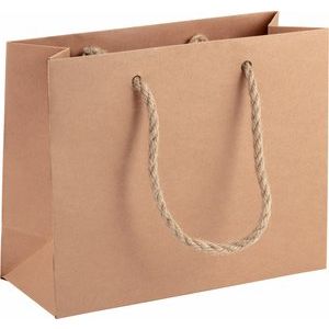 Rope-Handle Printed Gift Carry Bag, Size: 12