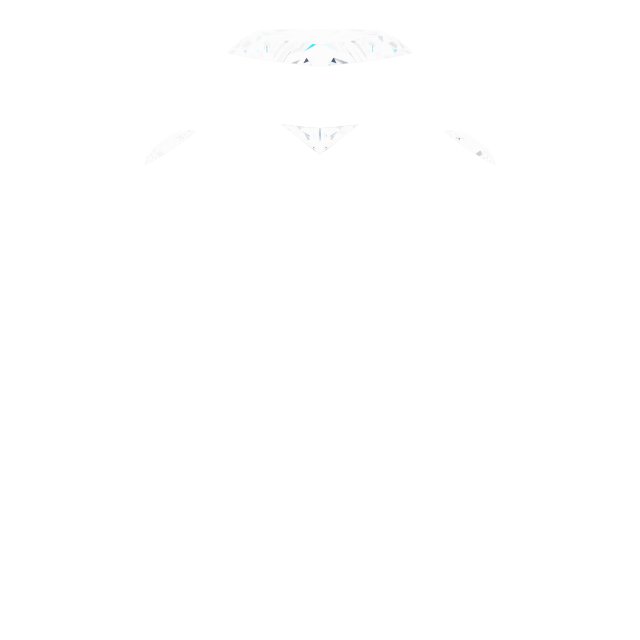 Product Variant Image