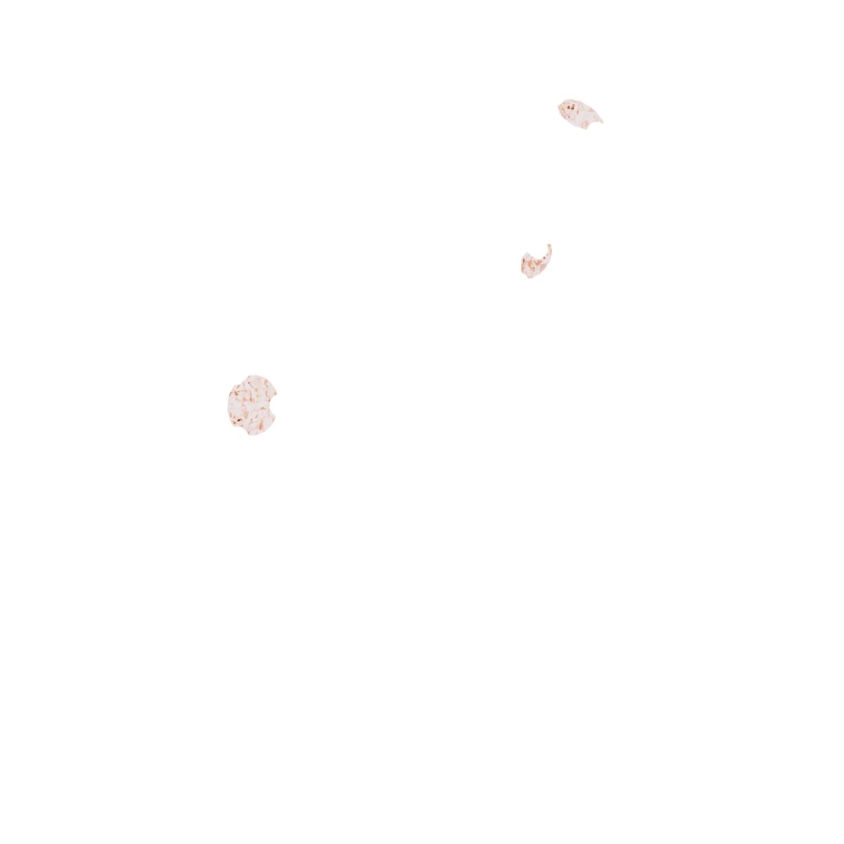 Floral-Inspired Engagement Ring or Band