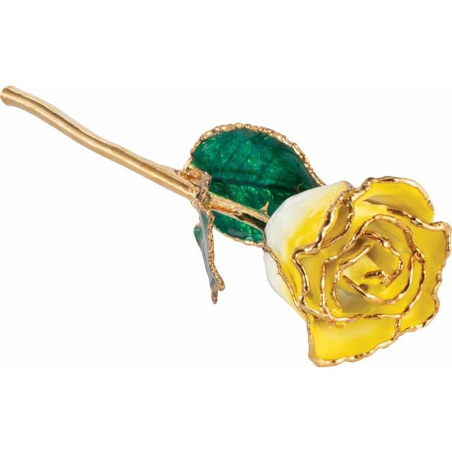 Lacquered Cream Yellow Rose with Gold Trim 