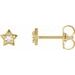 14K Yellow .05 CTW Rose-Cut Natural Diamond Petite Star Earrings