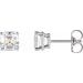 14K White 1/2 CTW Natural Diamond Earrings