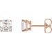 14K Rose 1/5 CTW Natural Diamond Earrings